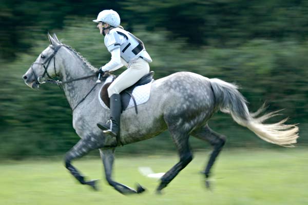 Shire Lane Hunter Trials